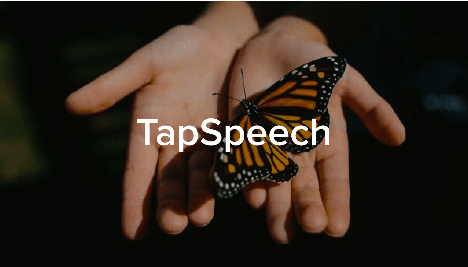 TapSpeech butterfly-inspired visual identity